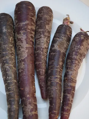 Морковь красная длинная без сердцевины (ID#864754354), цена: 4 ₴, купить на  Prom.ua