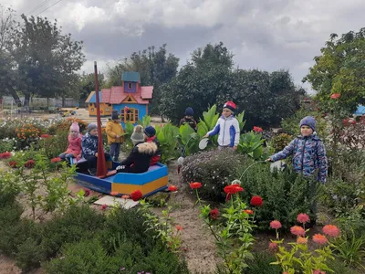 Красота в саду из ничего: раскройте очарование вашего участка