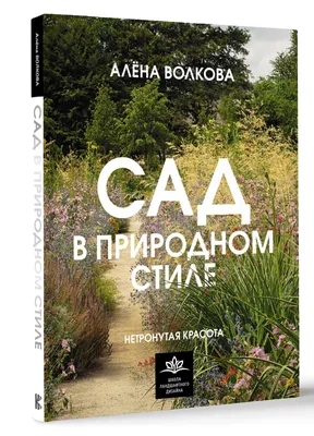 Красота и восхищение: как выглядит Ботанический сад во Владивостоке осенью  - PrimaMedia.ru