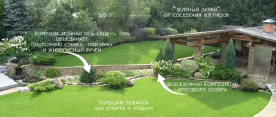 Красота в саду | Сад, Цветы, Обои