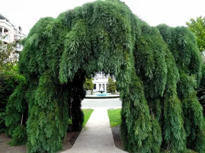 Красота осеннего сада – Andrey Karagodin Gardens – AKaragodin.com