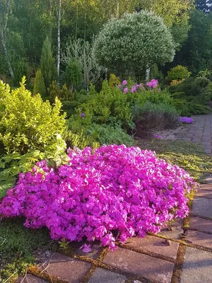 Декор для сада своими руками: фото и оригинальные идеи