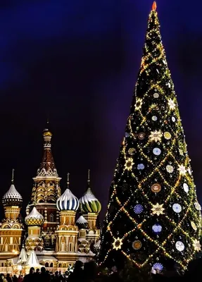 Кремлевская елка – главная елка страны, Москва – фотографии на MsMap.ru