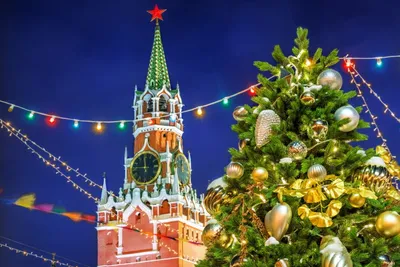 Владимир Путин запланировал посещение новогодней елки в Кремле — РБК