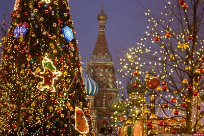 Кремлевская елка и огни новогодней Москвы: присоединяйтесь к праздничному  путешествию в сказку : Псковская Лента Новостей / ПЛН