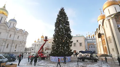 Елка искусственная Кремлевская 2,7 м – купить недорого в Москве