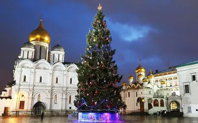Кремлевская елка 2024: как попасть бесплатно и с билетом