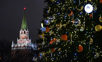 Как выглядит кремлевская елка - Ведомости