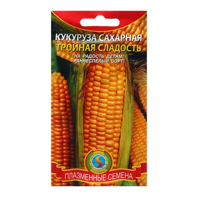 Германский Семенной Альянс | Продукты | Кукуруза | - МАЛОНГО [HO][CR  #c50a33]Новинка![/CR][/HO] [TI]ФАО 200[/TI]