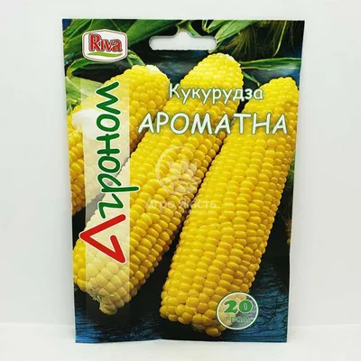 Купить Семена - Эконом пак. - Кукуруза Индейский орнамент, 30 г. ❱❱  Колибри-маркет ❰❰❰