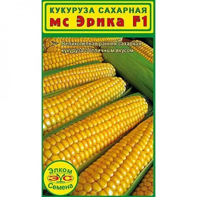 Кукуруза | Торговый Дом «КЧХК»