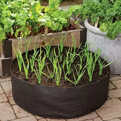 6 размеров, круглые тканевые мешки для выращивания, садовые горшки,  приподнятые грядки для растений, контейнеры для посадки растений на  открытом воздухе, овощи, цветы | AliExpress