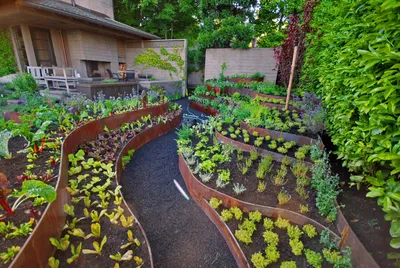 Все о том, как сделать огород красивым: организация посадок | ДЗЕН ДЛЯ ДОМА  | Дзен