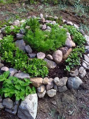 13 доступных идей по созданию высоких грядок, которые украсят сад или огород