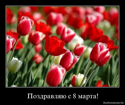 Открытка: Календарь с датой 8 марта | Открытки, Винтажные рождественские  открытки, Праздничные открытки