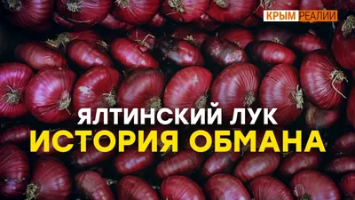 Как выбрать настоящий ялтинский лук? (видео)