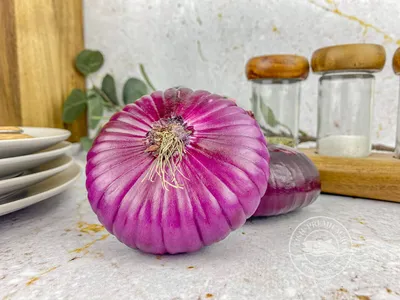 Лук репчатый крымский ❤️ доставка на дом от магазина Zakaz.ua
