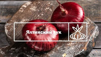 Лук Красный 100 грДоставка передач Краснодар.Сизо Краснодар!ФСИН!