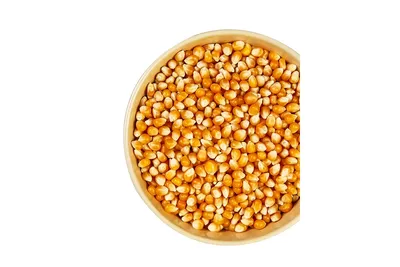 Кукуруза попкорн Дакота чёрный (Dakota Black Popcorn)