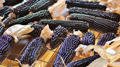 Кукуруза для попкорна / 250 гр