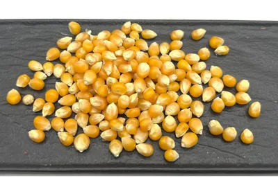 Кукуруза для попкорна в бутылке Земля Кубани Правильный выбор - «Попкорн в  бутылке? Необычный формат. Взяли из любопытства, и теперь постоянно будем  его покупать🍿» | отзывы