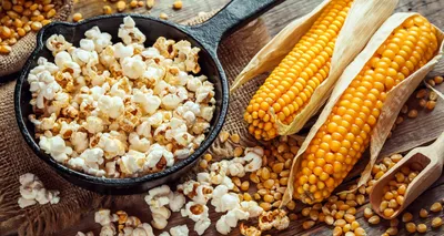 Кукуруза для попкорна Про100%Польза 93372289 купить за 383 ₽ в  интернет-магазине Wildberries