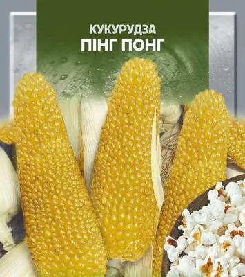 Кукуруза для попкорна «Калейдоскоп».Весовая