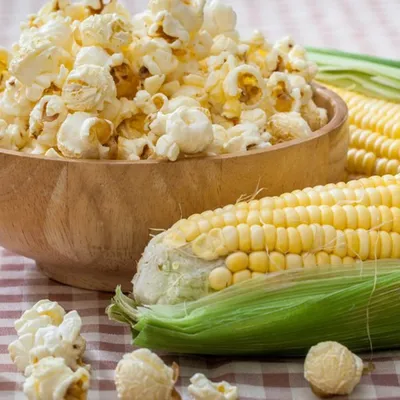 Кукуруза Попкорн Барабанщик F1 Popcorn Dobosz F1 - купить семена овощей с  доставкой по Украине в магазине Добродар