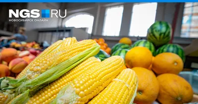 Из Новосибирска поставляли кукурузу, из-за которой трое человек в  Красноярске заболели ботулизмом - 13 ноября 2022 - НГС