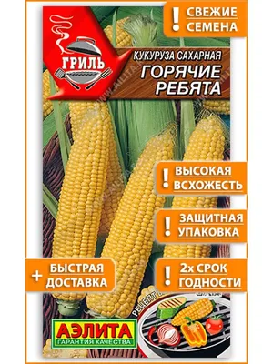 Зерна кукурузы для попкорна, Попкорн, Popping Corn, TRS, 500 г цена |  pigu.lt