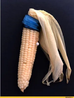 Разноцветная кукуруза » ЯУстал - Источник Хорошего Настроения