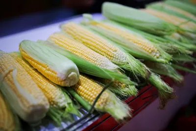 Интересные факты о кукурузе - ГК Эксперт-Агро
