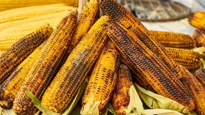 Кукуруза: польза, вред, советы врачей, калорийная ценность | РБК Life