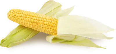 Кукуруза консервированная Globus - рейтинг 5 по отзывам экспертов ☑  Экспертиза состава и производителя | Роскачество