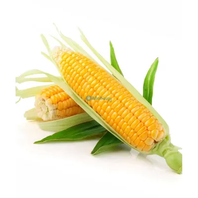 Кукуруза без добавления сахара 300г Испания купить c доставкой на дом в  интернет-магазине КуулКлевер