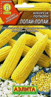 КАК СДЕЛАТЬ ПОПКОРН — 4 устройства в помощь