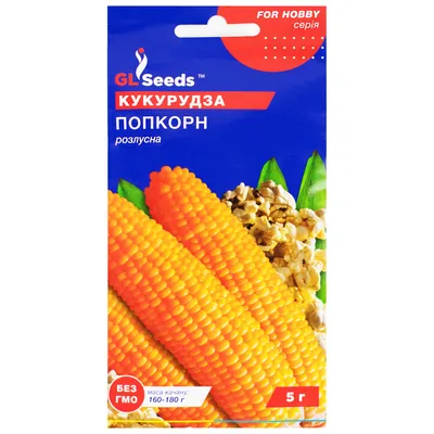Как на своем дачном участке вырастить кукурузу, из которой можно потом  делать отличный попкорн | ЭКОсад для всех | Дзен