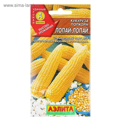 Семена Кукуруза попкорн \"Лопай-лопай\", 7 г (3975809) - Купить по цене от  16.00 руб. | Интернет магазин SIMA-LAND.RU