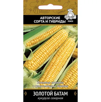 Уникальный сорт «патриотической кукурузы» представил украинский  производитель • EastFruit