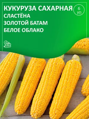 Кукуруза \"Лакомка Белогорья\" ООО \"Агрофирма \"СеДеК\" - «Хрущев этот сорт  наверняка бы одобрил.🌽 Хорошая всхожесть и нормальная урожайность!» |  отзывы