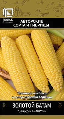 Радужная кукуруза: как все начиналось - Афиша Daily