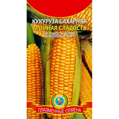 Мелина F1 (SCG 6872 F1) - кукуруза сахарная, Greentime/Гринтайм (Испания) -  купить в интернет-магазине fremercentr.ru быстрая доставка. Почтой или ТК.