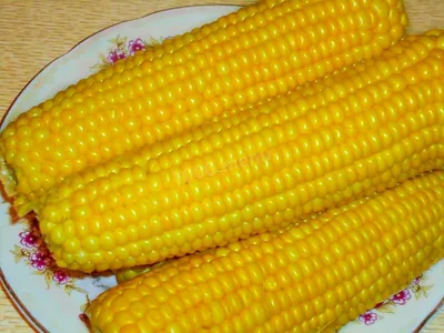 Как варить кукурузу в кастрюле в початках рецепт с фото пошагово - 1000.menu
