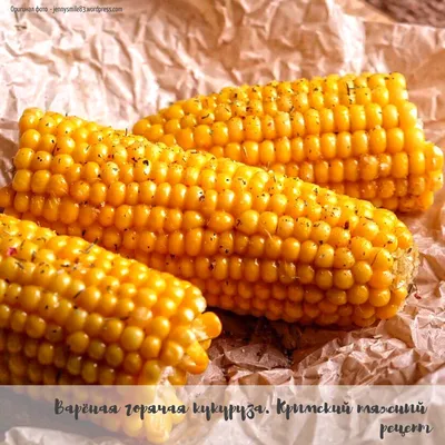Кукуруза в початках Свежий Урожай Варёная в вакуумной упаковке - «Вареная  кукуруза теперь есть в продаже в магазине)» | отзывы