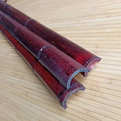 Купить саженцы бамбука в Украине от 90 грн