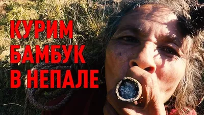 Откуда взялось выражение «курить бамбук» | ВКонтакте