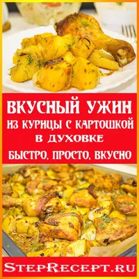 Курица с овощами в духовке - аппетитное блюдо для всей семьи | СмакБург |  Дзен