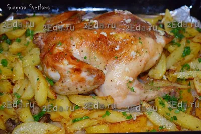 Roasted Chicken and Potatoes in oven. Greek style roasted chicken thighs  and potatoes. - YouTube