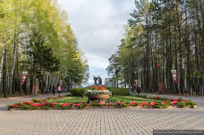 Прогулки по Томску и Сибирские скорости. Лагерный сад (фото)
