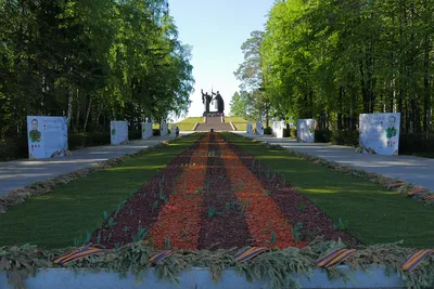 Лагерный сад, Томск: лучшие советы перед посещением - Tripadvisor